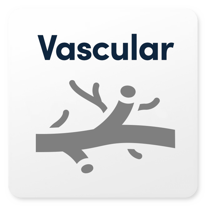 Advanced Vascular Package